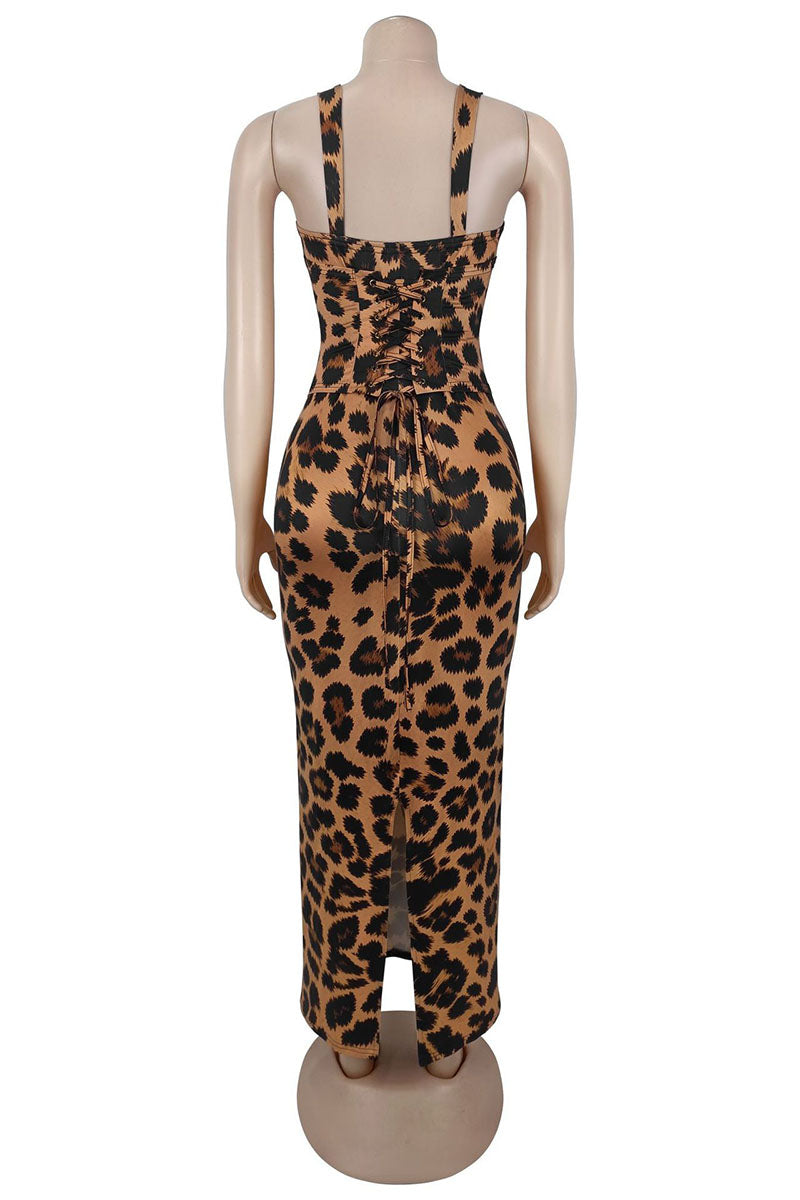 LEOPARD (8).jpg