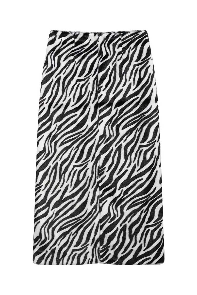 ZEBRA (5).jpg