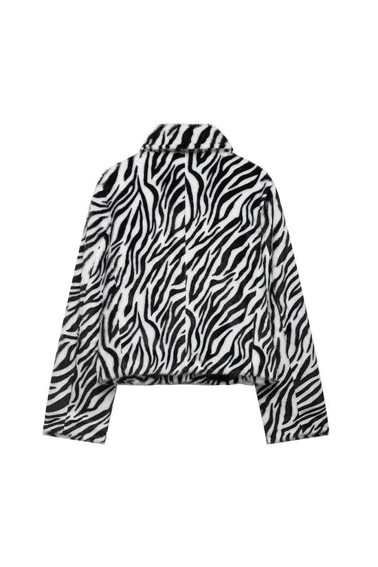 ZEBRA (4).jpg