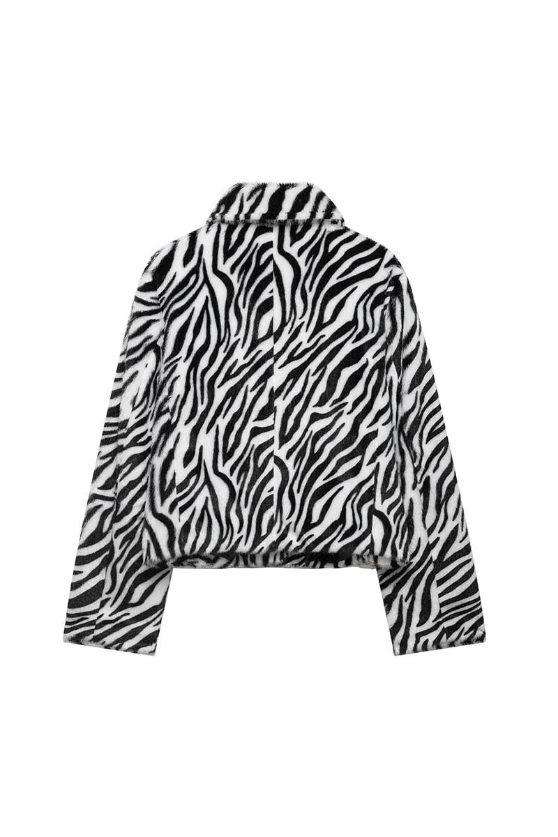 ZEBRA (4).jpg
