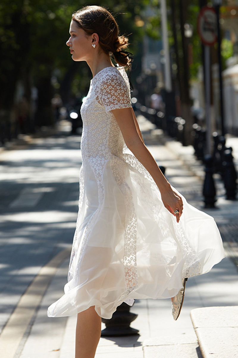 Lace Panel Midi Dress