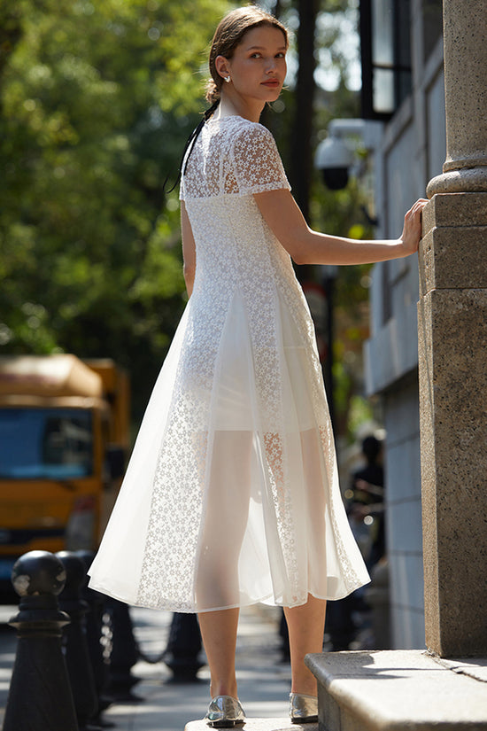 Lace Panel Midi Dress