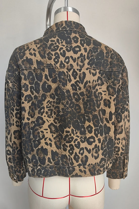 LEOPARD (6).jpg