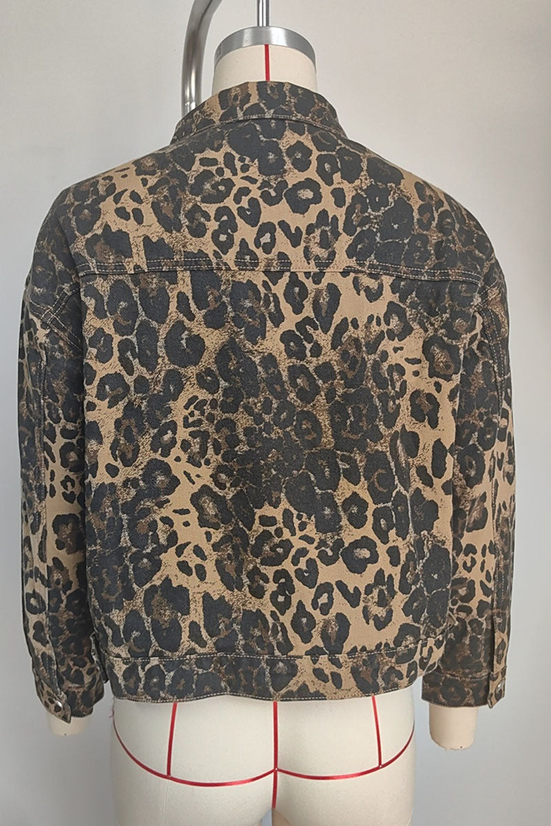 LEOPARD (6).jpg