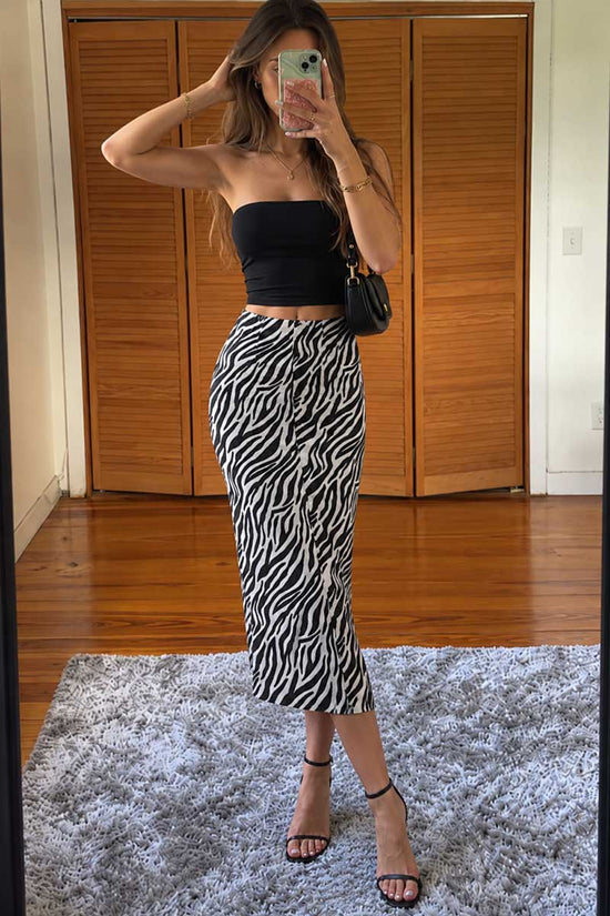 ZEBRA (2).jpg