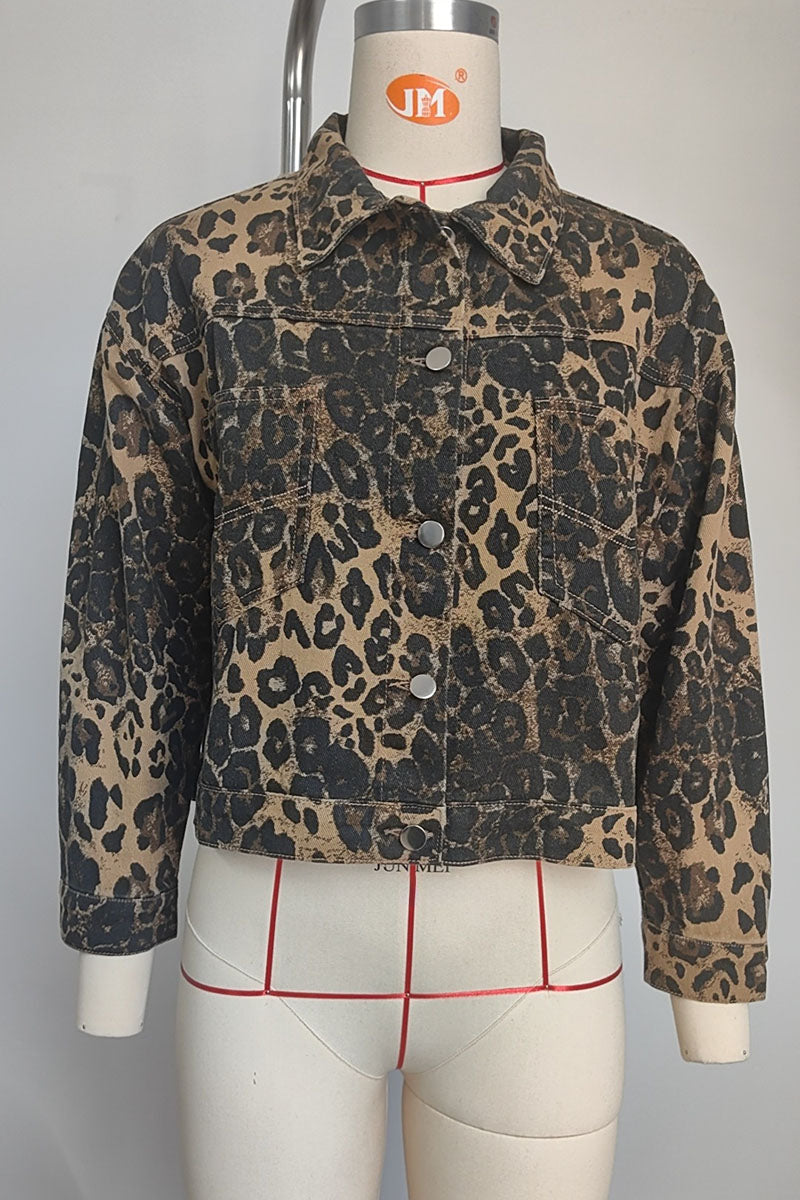 LEOPARD (4).jpg