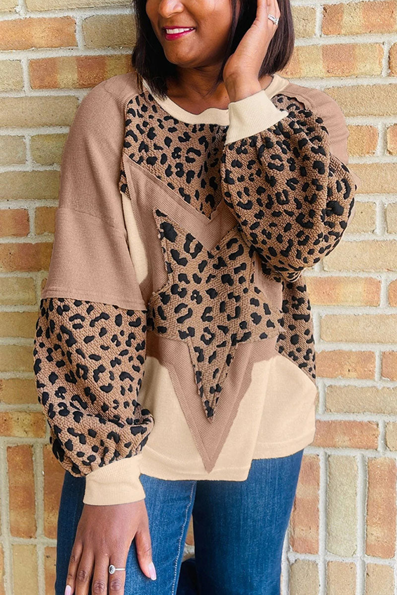 CAMEL (4).jpg