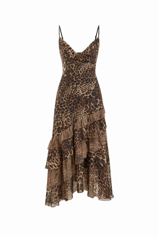 LEOPARD (2).jpg