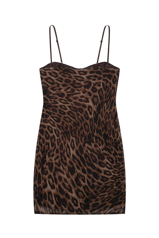 LEOPARD (6).jpg