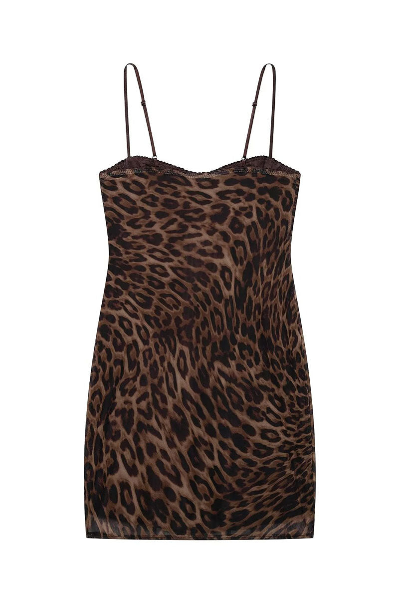 LEOPARD (6).jpg