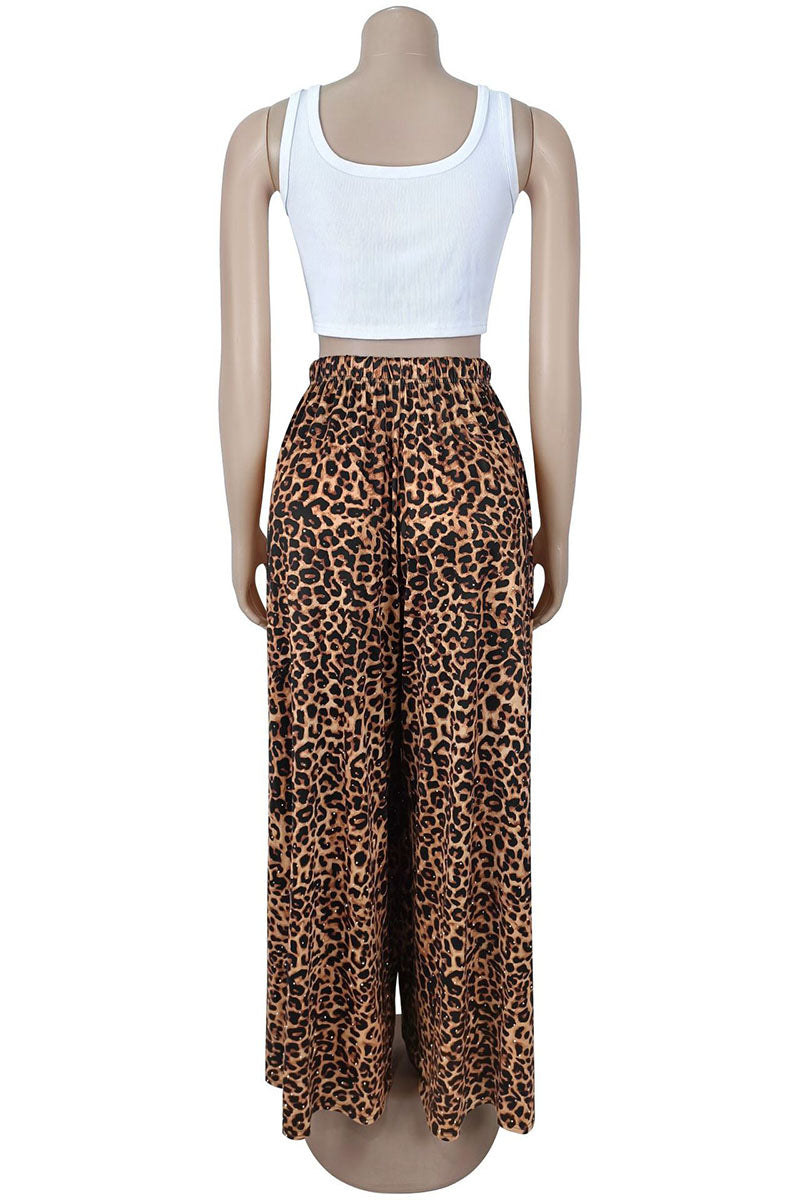 LEOPARD (5).jpg