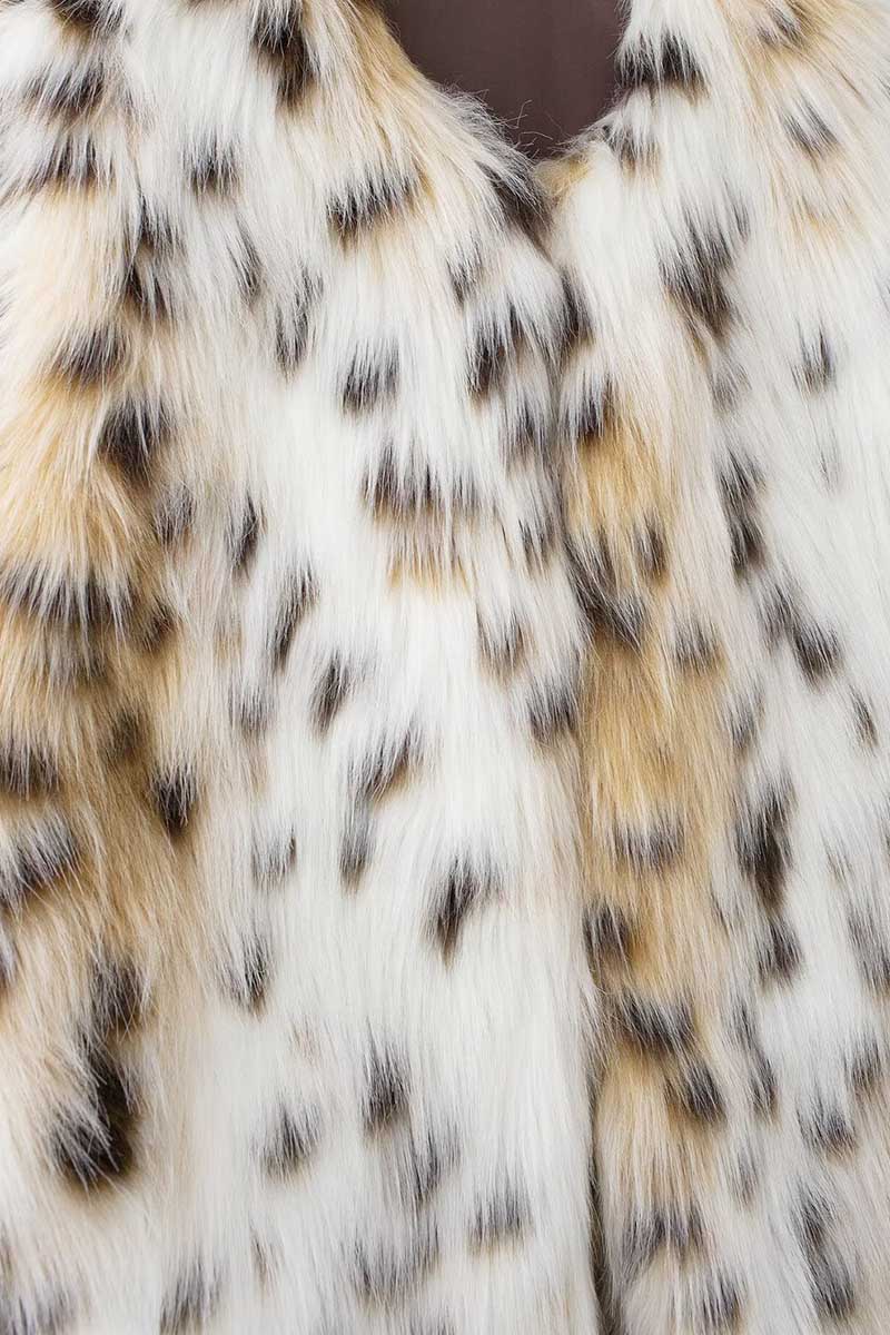 LEOPARD (6).jpg