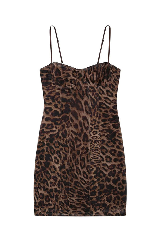 LEOPARD (5).jpg