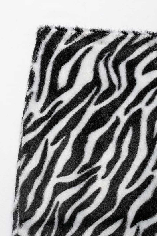 ZEBRA (6).jpg