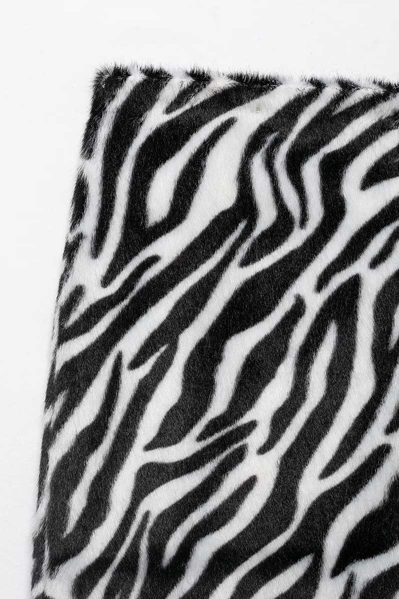 ZEBRA (6).jpg