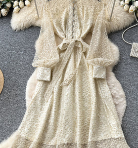 Elegant Long Sleeve Tie Waist Dress