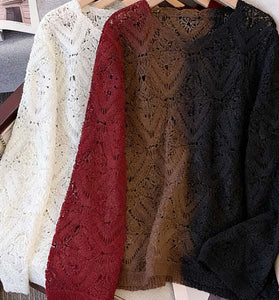 Elegant Crochet Long Sleeve Top