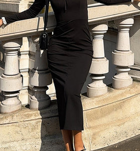 Elegant High-Neck Long Sleeve Bodycon Dress