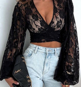 Lace V-Neck Long Sleeve Crop Top