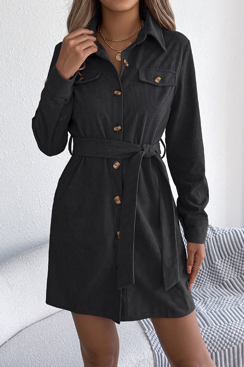Button-Down Belted Casual Shirt Dress