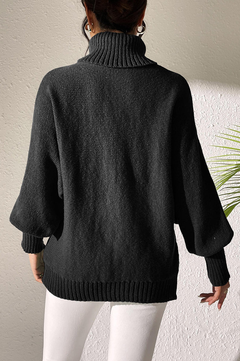 Pearl Embellished Turtleneck Sweater