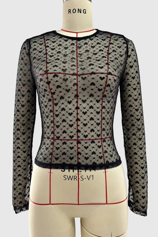 Sheer Long Sleeve T-Shirt