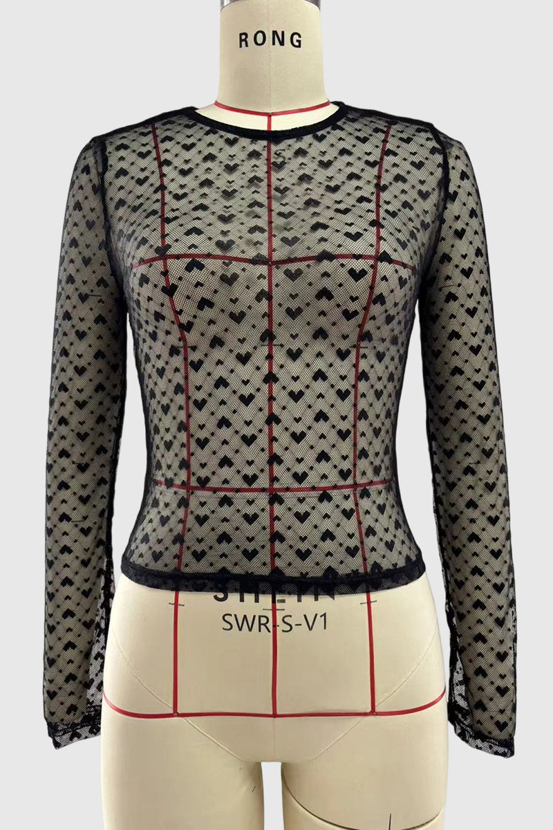 Sheer Long Sleeve T-Shirt