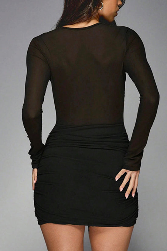 Sheer Long Sleeve Bodycon Casual Dress