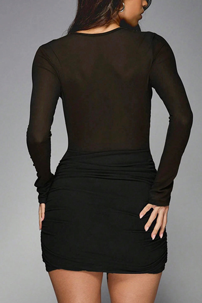 Sheer Long Sleeve Bodycon Casual Dress