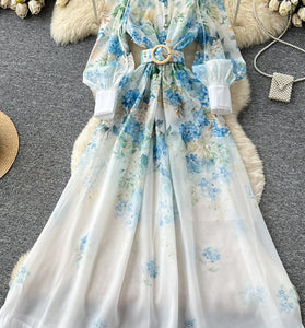 Floral Print Chiffon Maxi Dress