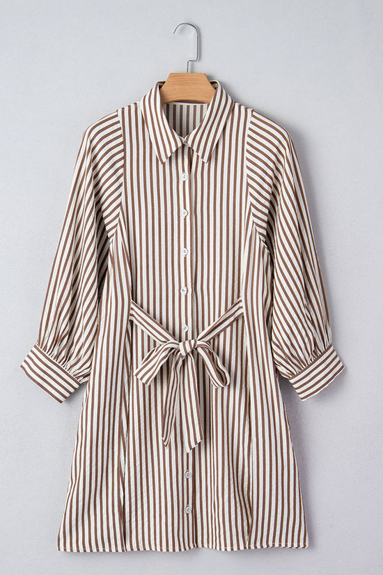 Striped Button-Down Tie Waist Dress