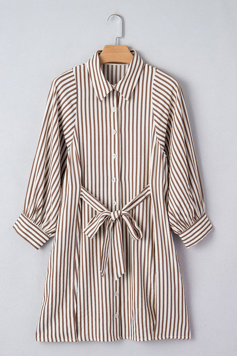 Striped Button-Down Tie Waist Dress