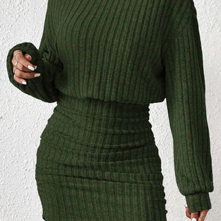 Ribbed Knit Turtleneck Casual Dress