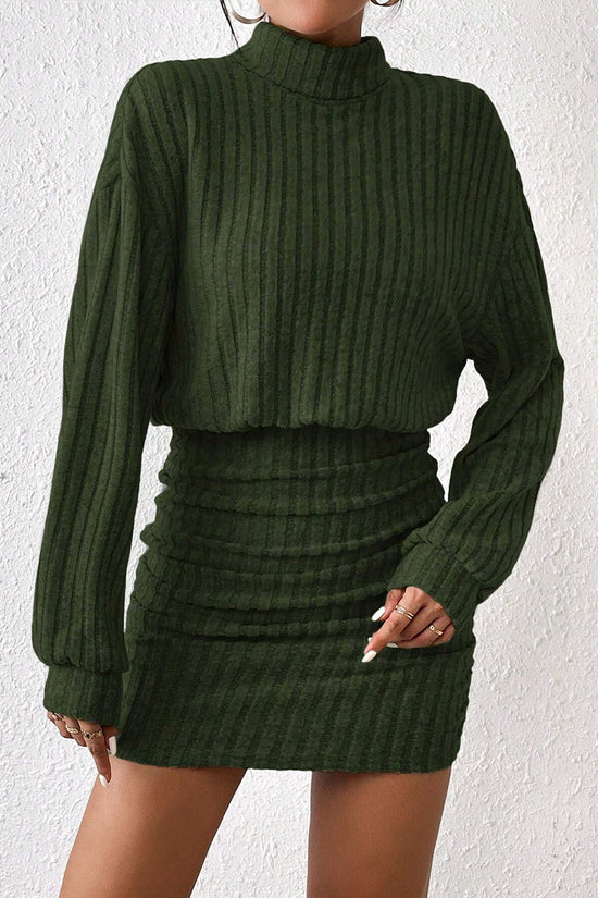 Ribbed Knit Turtleneck Casual Dress