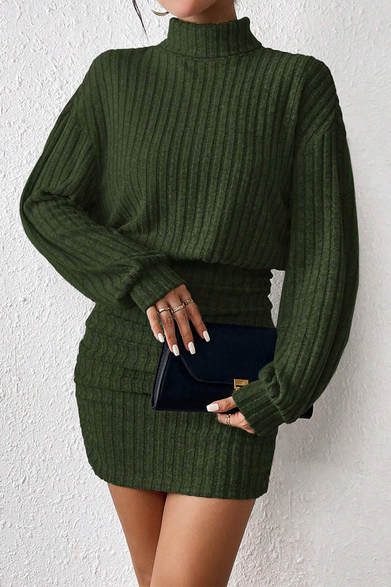 Ribbed Knit Turtleneck Casual Dress