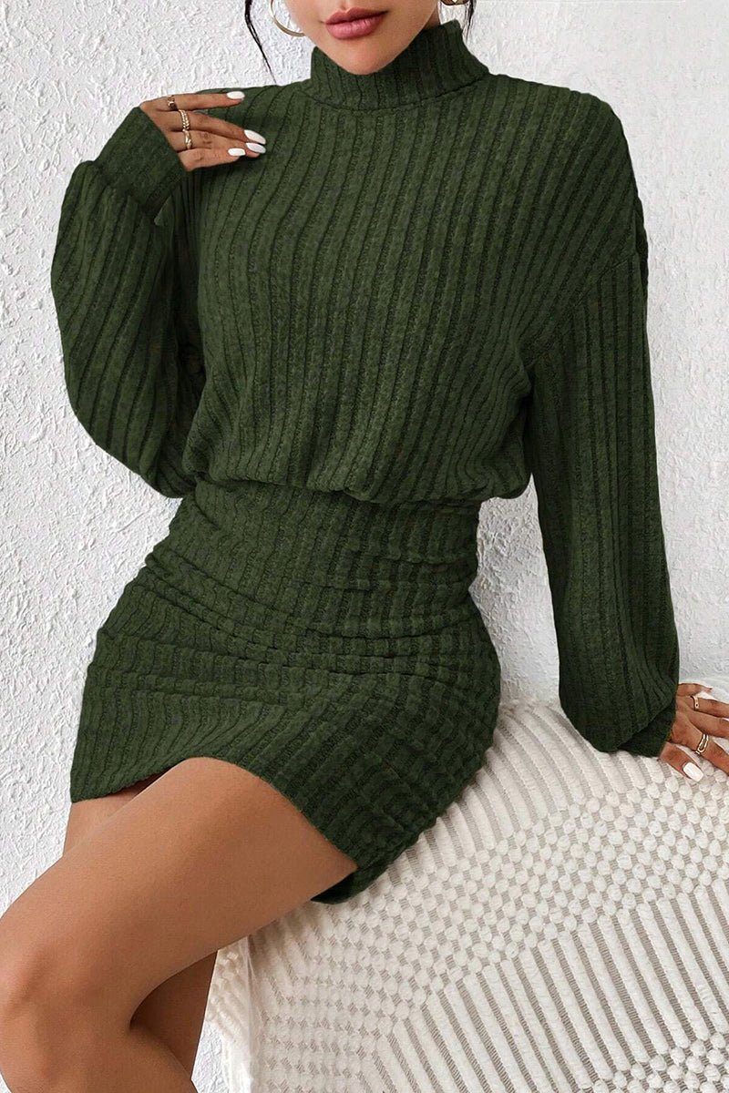 Ribbed Knit Turtleneck Casual Dress