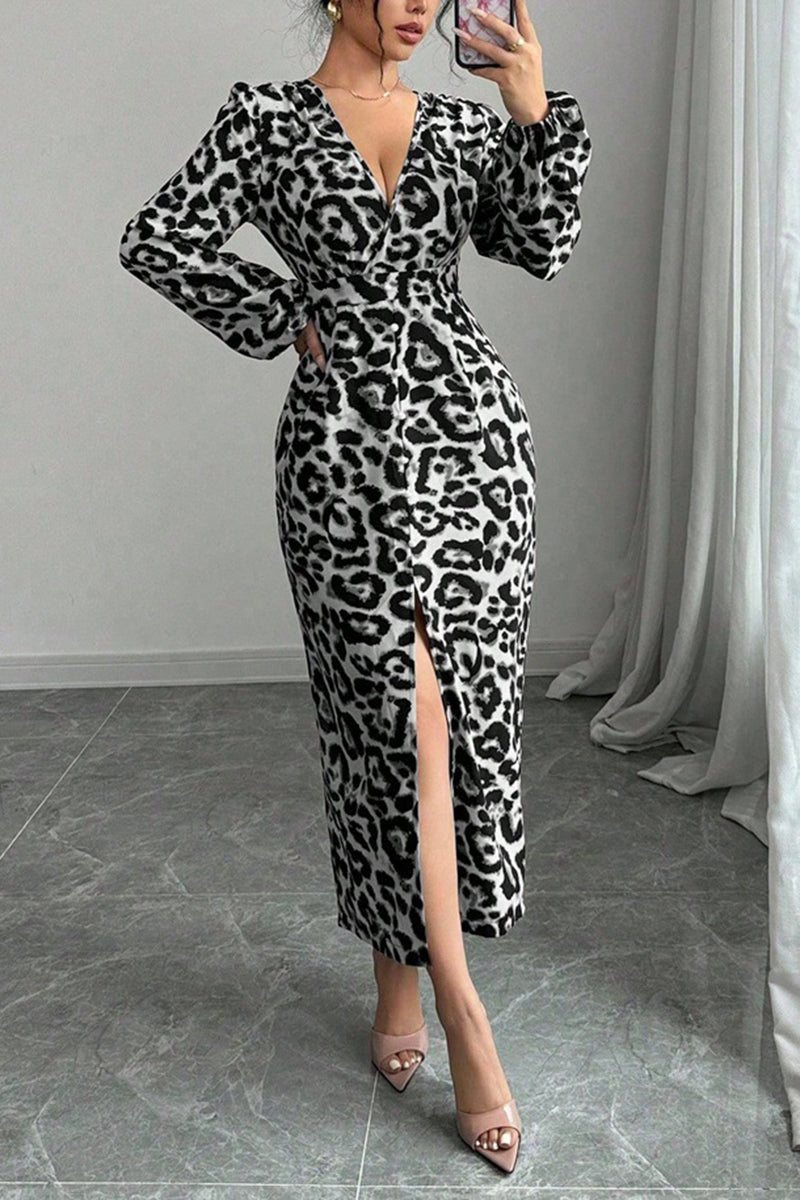Chic Leopard Print Long Sleeve Dress
