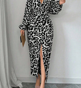Chic Leopard Print Long Sleeve Dress