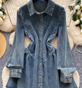 Buttoned Denim Dress with Long Sleeves