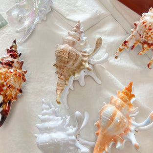 Seashell Decorative Hair Clip