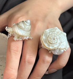 Elegant Spiral Seashell Ring