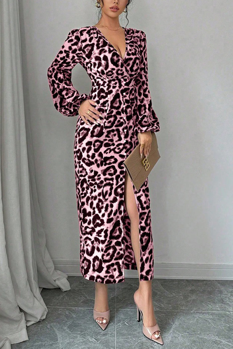 Chic Leopard Print Long Sleeve Dress