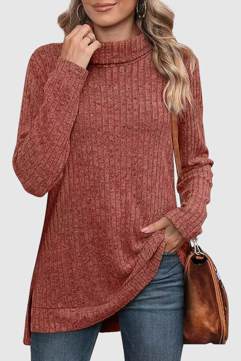 Cozy Turtleneck Long Sleeve Top