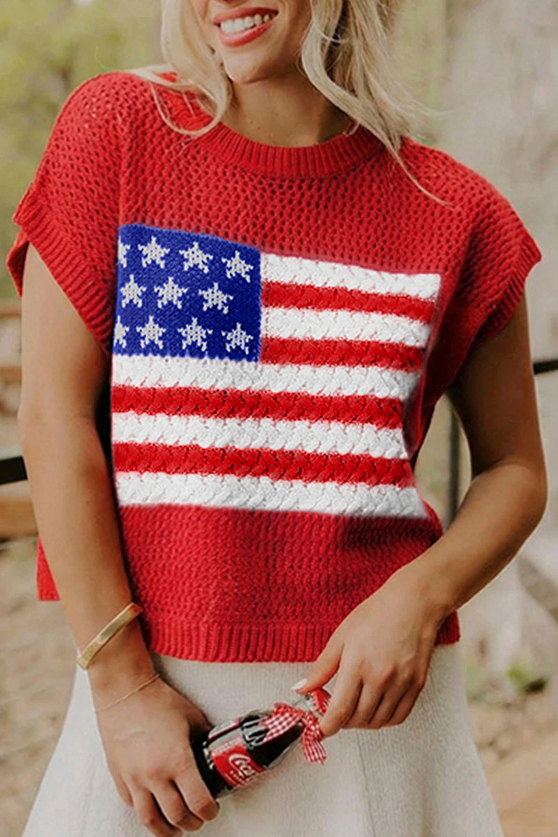 Flag Graphic Short Sleeve Sweater Top