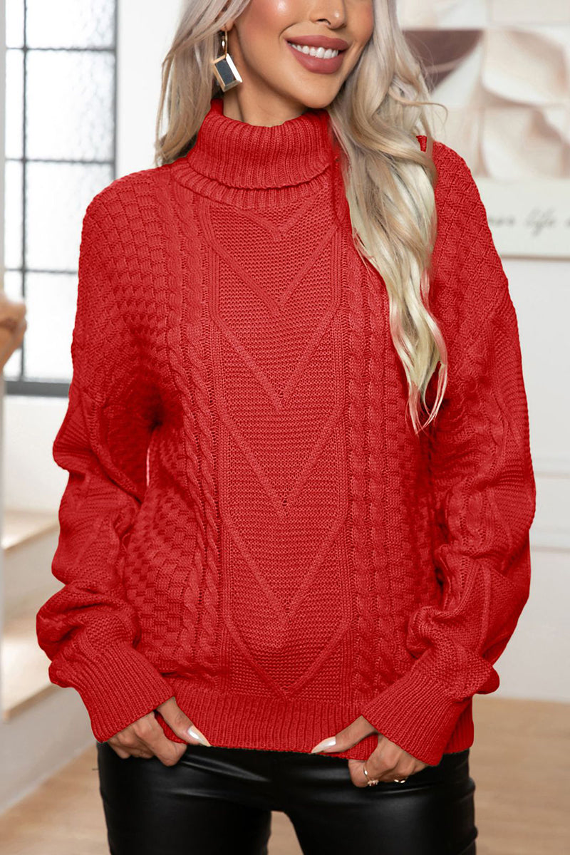 Knit Turtleneck Sweater