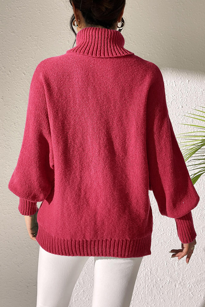 Pearl Embellished Turtleneck Sweater