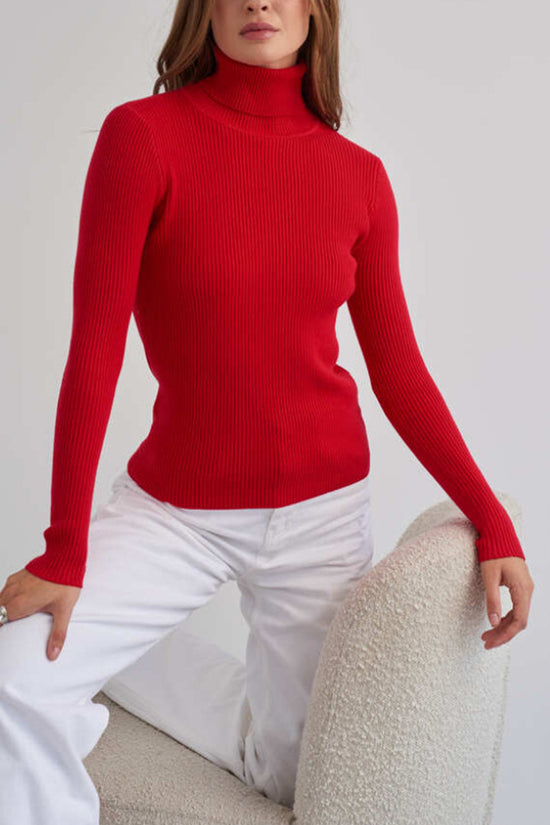 Ribbed High Neck Sweater