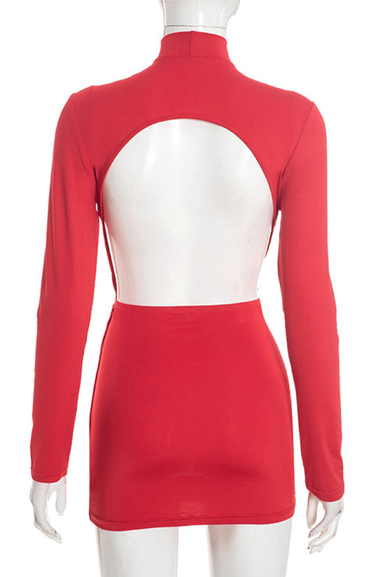 Chic Plunge Neck Long Sleeve Casual Dress