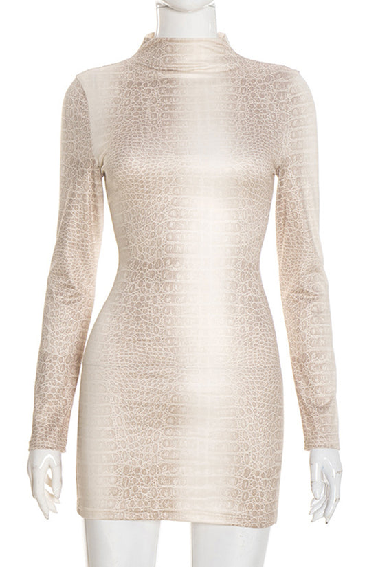 Printed Long Sleeve Mock Neck Dress