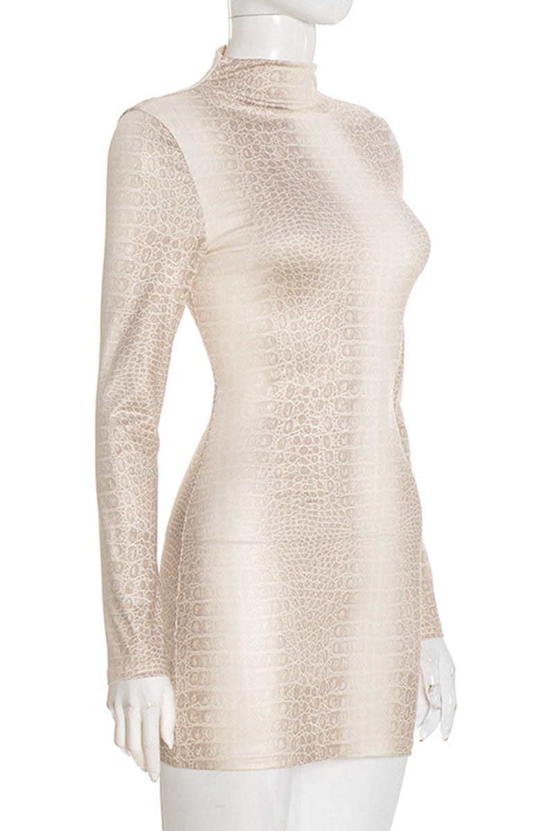 Printed Long Sleeve Mock Neck Dress